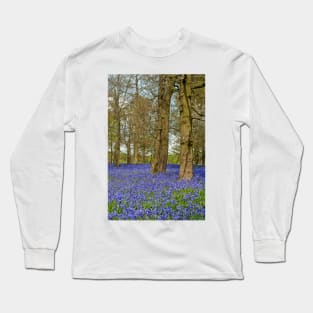 Bluebell Woods Greys Court Oxfordshire England Long Sleeve T-Shirt